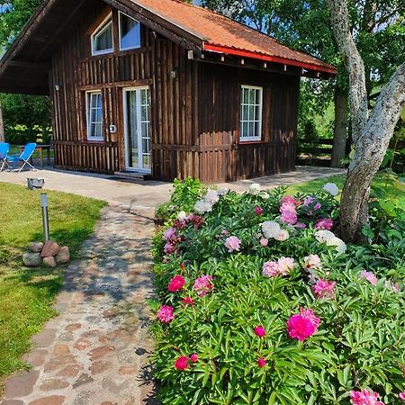 Bruninieku Pirts Holiday Home & Spa Aucugals Dış mekan fotoğraf